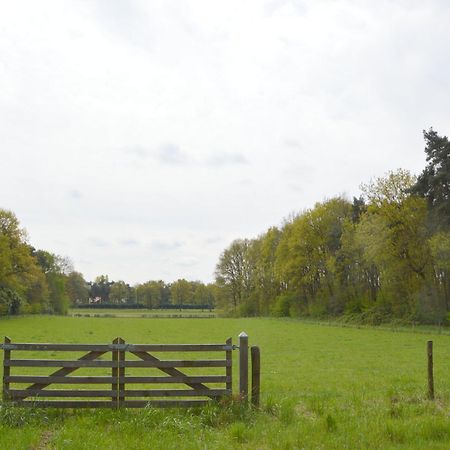 Lovely Holiday Home In Limburg Amid Lush Forest Stramproy Eksteriør billede