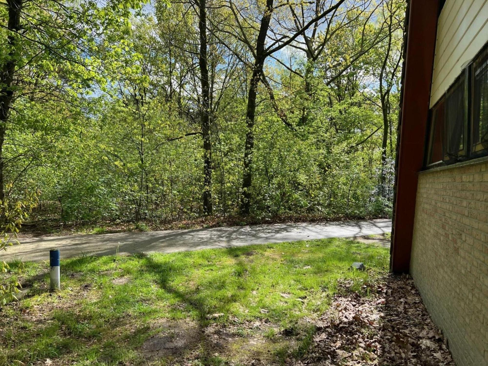 Lovely Holiday Home In Limburg Amid Lush Forest Stramproy Eksteriør billede